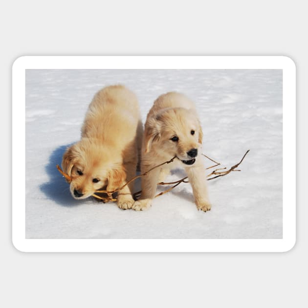 Puppies in Winter Sticker by LaurieMinor